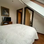 Bel Appartement Au Coeur Des Eaux-Vives